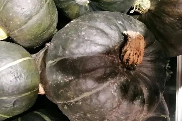 南瓜不挂果如何解决，缺少养分可以追施磷钾肥