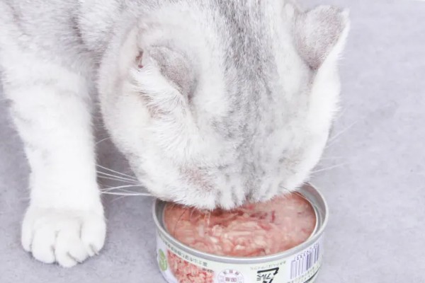 猫咪天天吃罐头行吗，主食罐头可以天天吃
