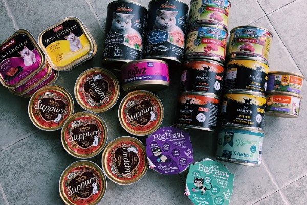 猫咪天天吃罐头行吗，主食罐头可以天天吃