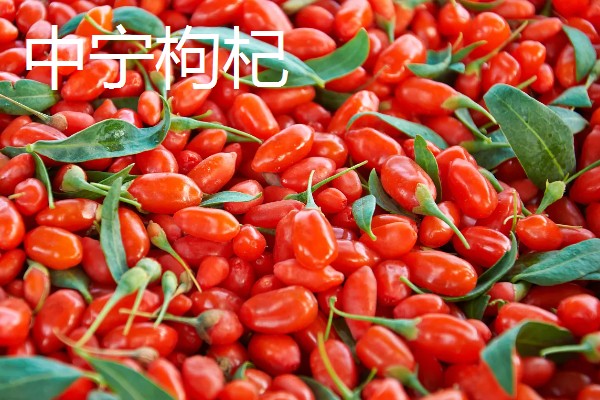 宁夏中卫市的特产,有中宁枸杞、同心圆枣等