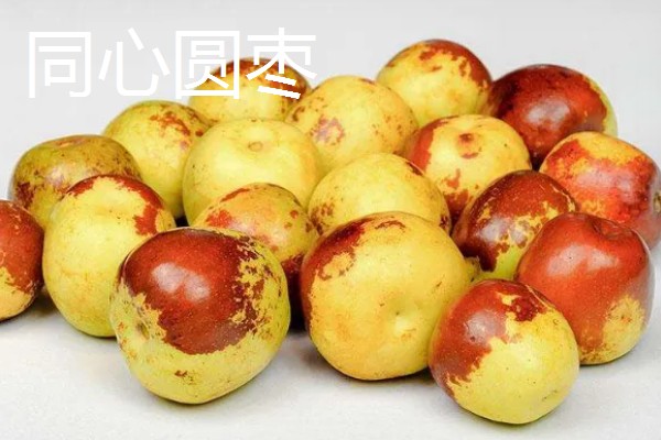 宁夏中卫市的特产,有中宁枸杞、同心圆枣等