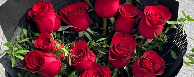 11朵玫瑰花的含义，代表我只在乎你、爱你一生一世