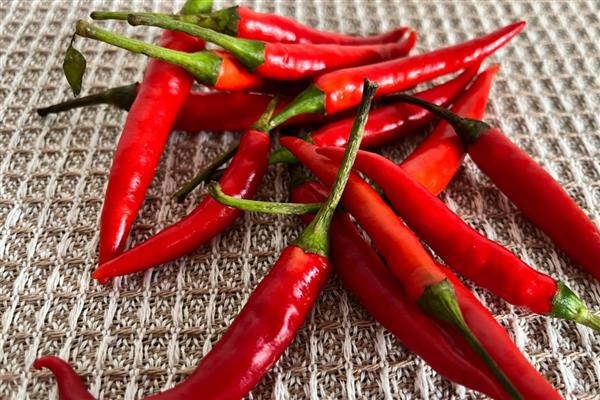 小米辣的市场价，在15元一斤左右