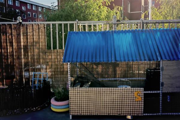 怎么搭建鸡窝，尽可能选在离树木比较近的地方