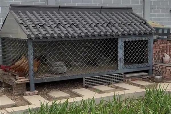 怎么搭建鸡窝，尽可能选在离树木比较近的地方