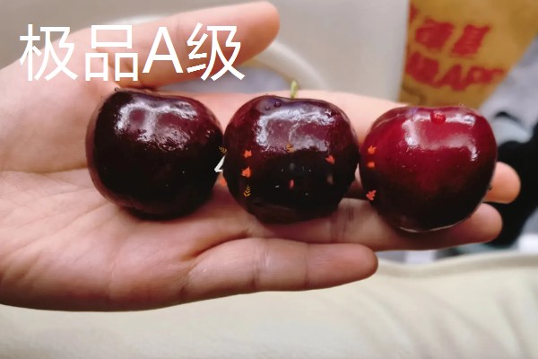 车厘子的等级划分，不同国家的划分方式有区别
