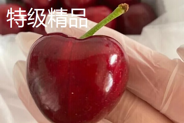 车厘子的等级划分，不同国家的划分方式有区别