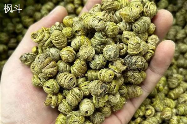 枫斗和石斛有什么区别，前者呈螺旋形、后者呈段状