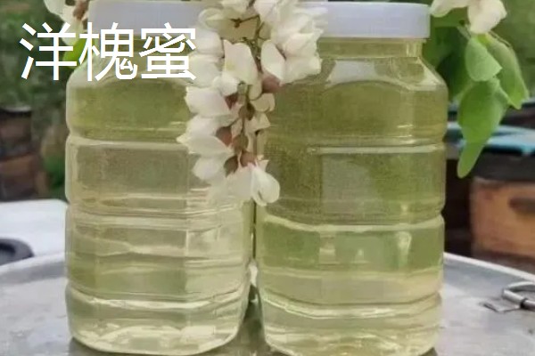百花蜜和洋槐蜜哪个好，洋槐蜜的色泽、口感稍胜一筹