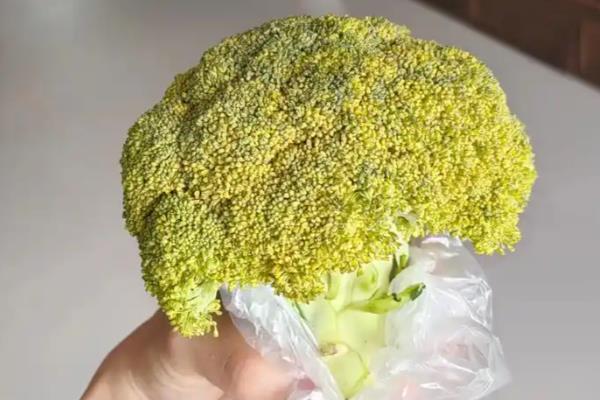 西兰花可以放多久,正常情况下可以保存1-3天左右