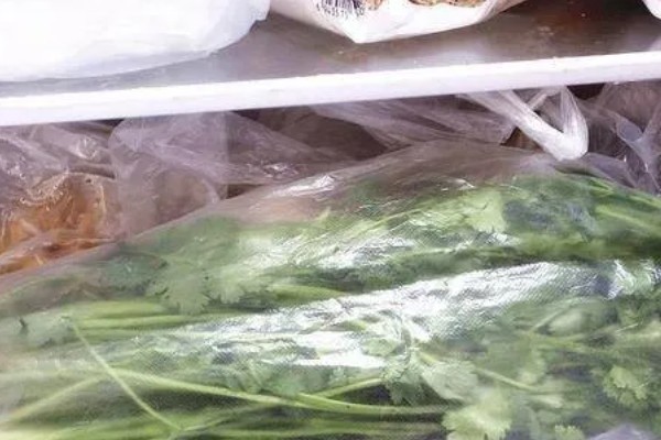 香菜怎么贮藏，可采取冻藏法、窖藏法、气调冷藏法