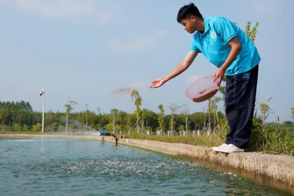 养殖黄骨鱼的条件，池塘的水深要超过2米