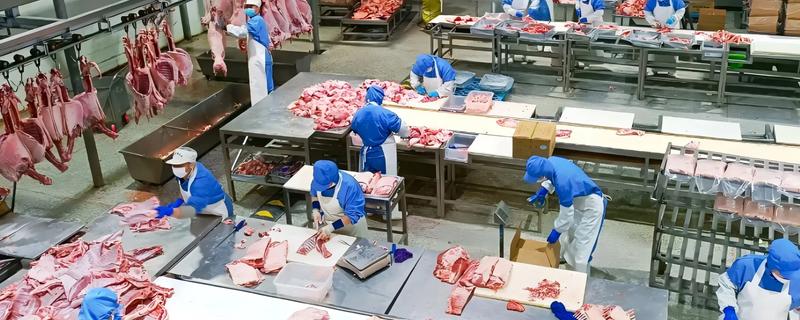 农产品深加工项目，有食品加工、木材加工等