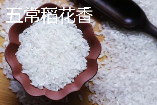 五常稻花香大米的特点,颜色是半透明的清白颜色