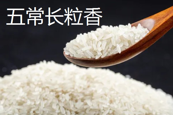 五常稻花香大米的特点,颜色是半透明的清白颜色