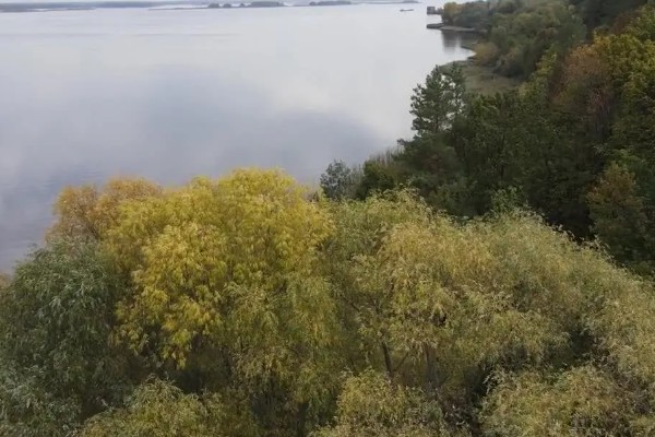 乌克兰适合种植什么农作物，适合种植玉米、小麦、大麦等