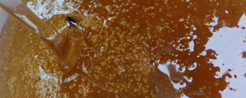 柑橘蜜和枣花蜜对比，营养和色泽均不同