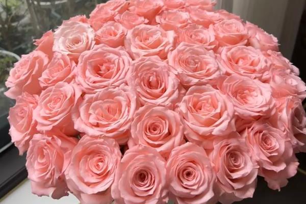 11朵玫瑰花的含义，代表我只在乎你、爱你一生一世