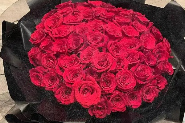 玫瑰的花语,不同数量的花语不同