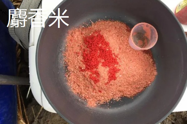钓鲫鱼的钓点选择,在浅水、向阳处会比较好