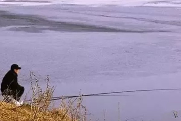 钓鲫鱼的钓点选择,在浅水、向阳处会比较好
