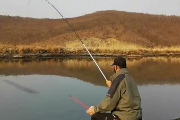 5号伊势尼钩适合钓鲫鱼吗,垂钓小鲫鱼尺寸偏大