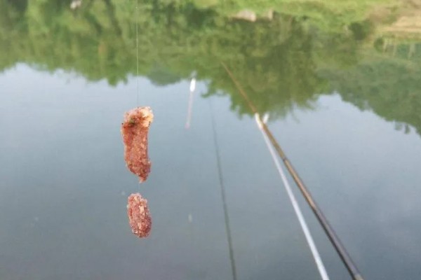 传统钓怎么调立漂,第一步是重铅找底