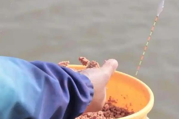 怎么钓黄尾鱼，浮漂轻微上顶时再抬竿