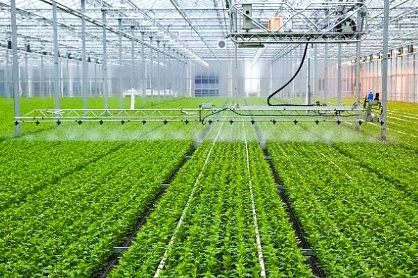 农业供给侧改革的含义,通过自身努力提高产品的质量和数量