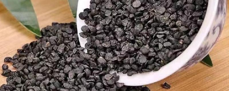 小葱籽的播种方法，翻耕后再播入土壤中