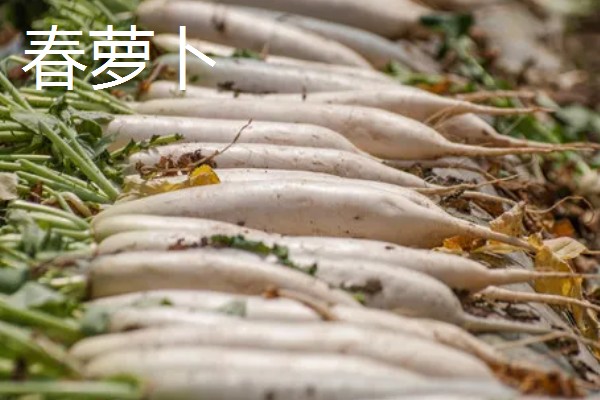 哪些作物在秋天丰收,常见水稻、大豆等品种。