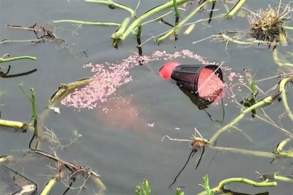 酒米怎么打窝,在作钓前才向钓点投放