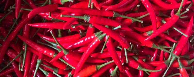 小米辣的市场价，在15元一斤左右