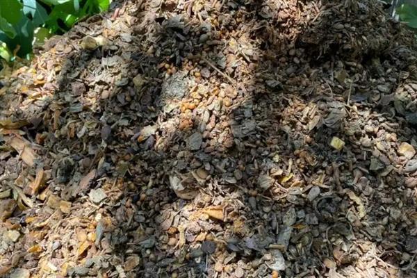寒冬时期积肥的要点，肥堆要适当加大