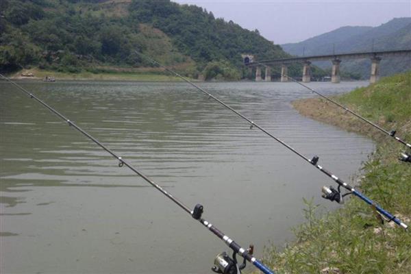 钓鲢鱼用什么钩,可选择7到10号之间的钩