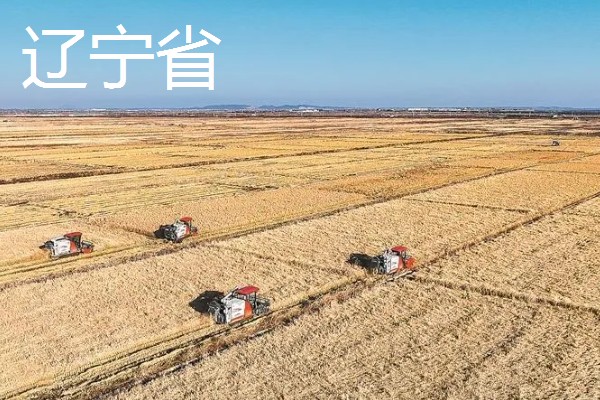 我国有哪些粮食主产区，辽宁省、山东省、湖南省等省区产出的粮食较多