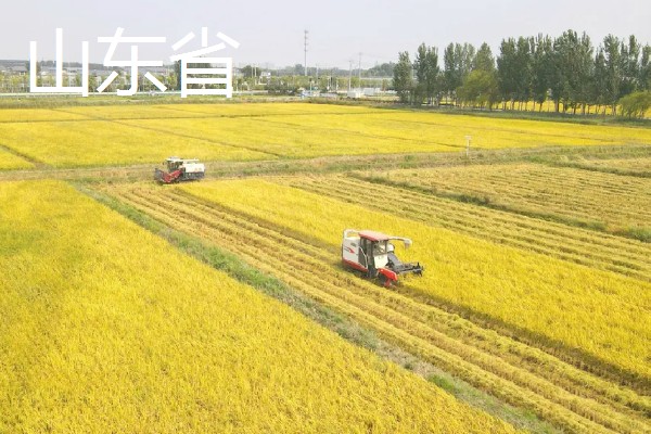 我国有哪些粮食主产区，辽宁省、山东省、湖南省等省区产出的粮食较多