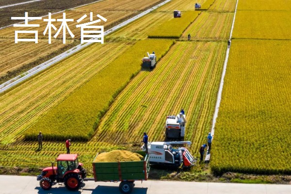 我国有哪些粮食主产区，辽宁省、山东省、湖南省等省区产出的粮食较多