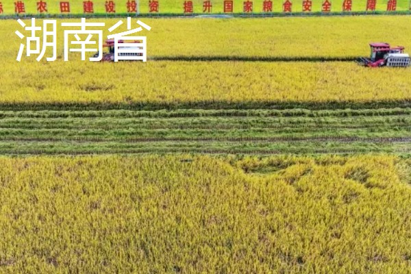 我国有哪些粮食主产区，辽宁省、山东省、湖南省等省区产出的粮食较多