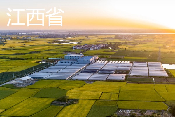 我国有哪些粮食主产区，辽宁省、山东省、湖南省等省区产出的粮食较多