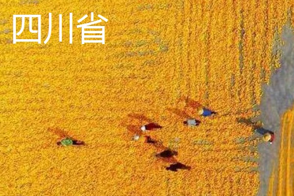 我国有哪些粮食主产区，辽宁省、山东省、湖南省等省区产出的粮食较多