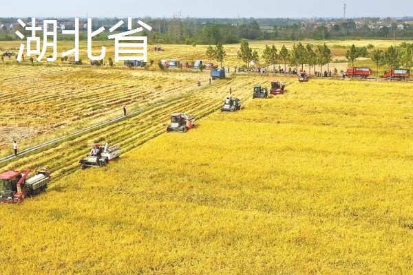 我国有哪些粮食主产区，辽宁省、山东省、湖南省等省区产出的粮食较多