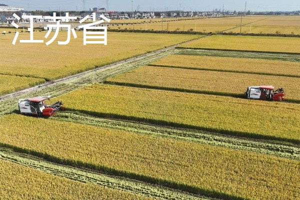 我国有哪些粮食主产区，辽宁省、山东省、湖南省等省区产出的粮食较多