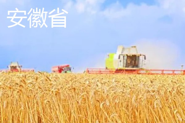 我国有哪些粮食主产区，辽宁省、山东省、湖南省等省区产出的粮食较多
