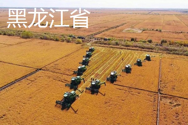我国有哪些粮食主产区，辽宁省、山东省、湖南省等省区产出的粮食较多