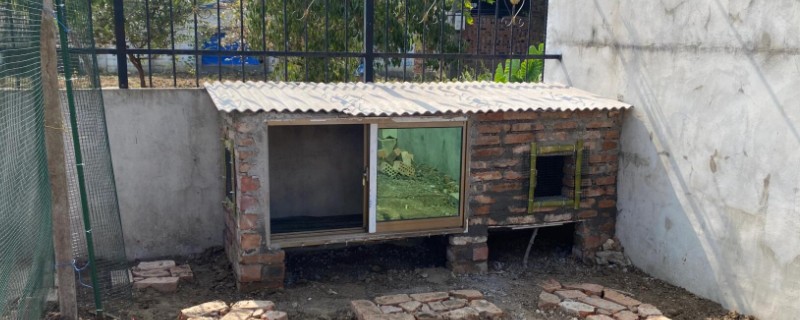 怎么搭建鸡窝，尽可能选在离树木比较近的地方