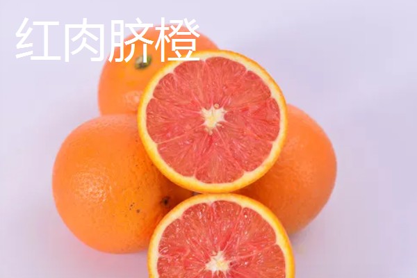 橙子的品种有哪些，有纽荷尔脐橙、红肉脐橙等