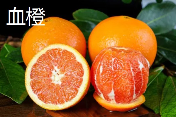 橙子的品种有哪些，有纽荷尔脐橙、红肉脐橙等