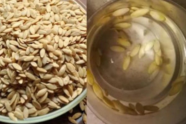 种子如何浸泡,可以用金霉素、温水等浸泡