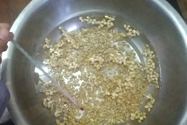 种子如何浸泡,可以用金霉素、温水等浸泡